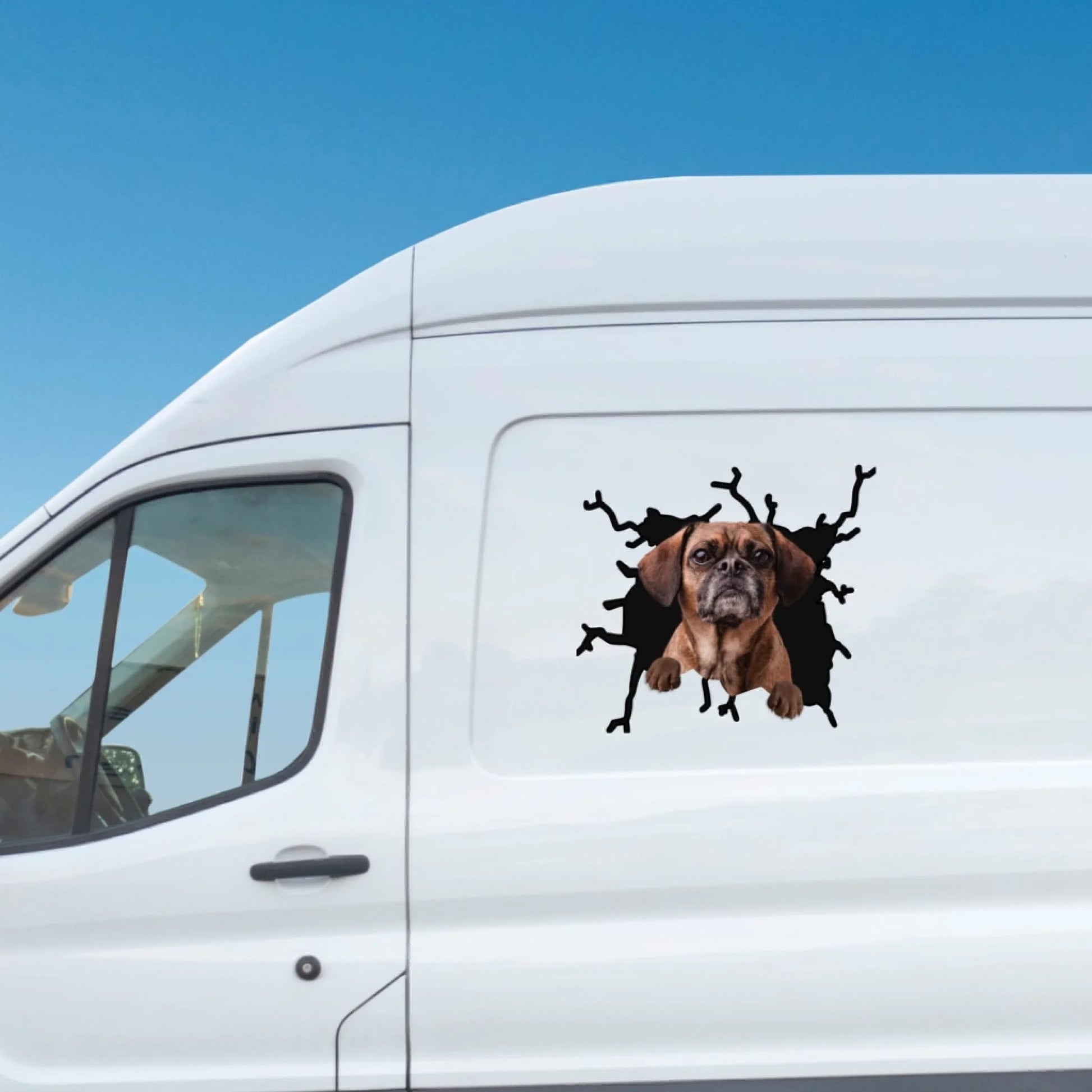 WhatsApp Image 2025-09-16 at 9.12.40 PM