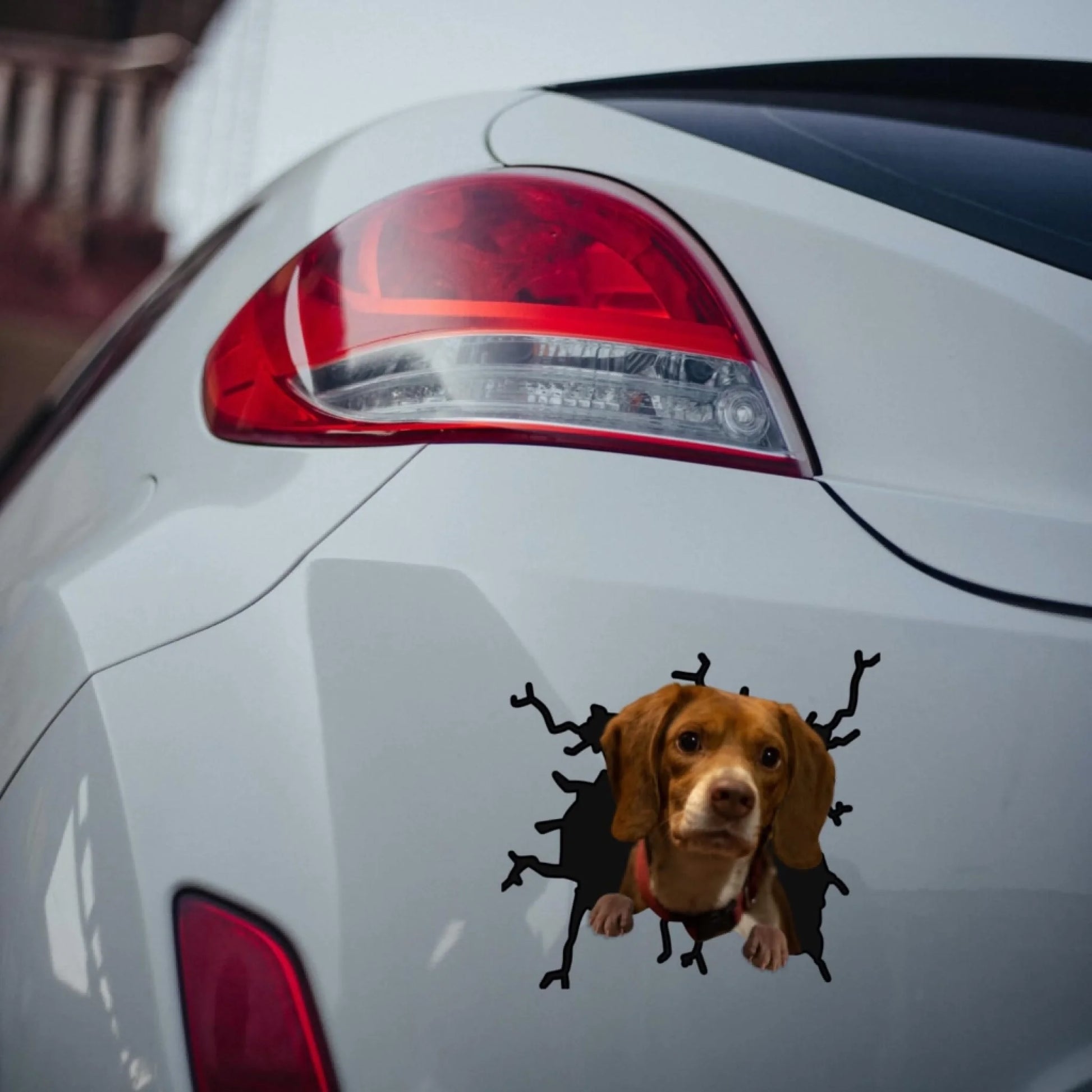 WhatsApp Image 2025-09-16 at 9.12.40 PM (1)