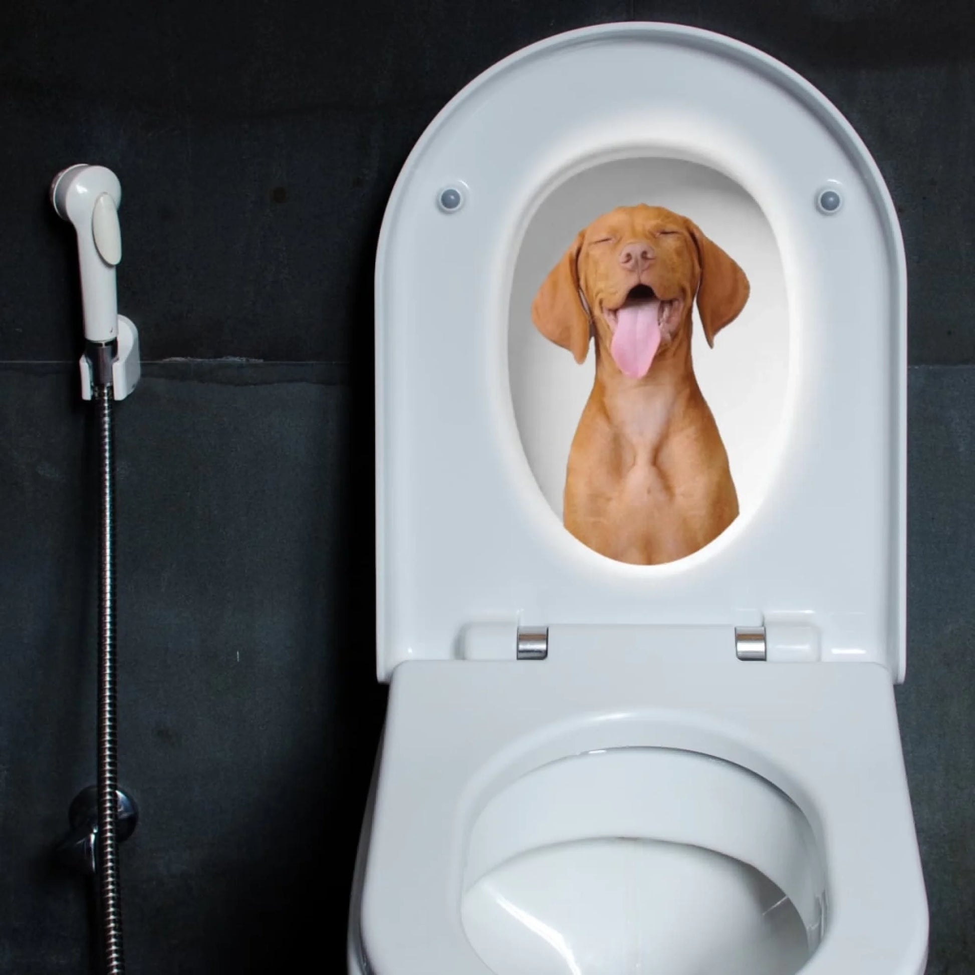 WhatsApp Image 2025-09-17 at 3.06.02 PM