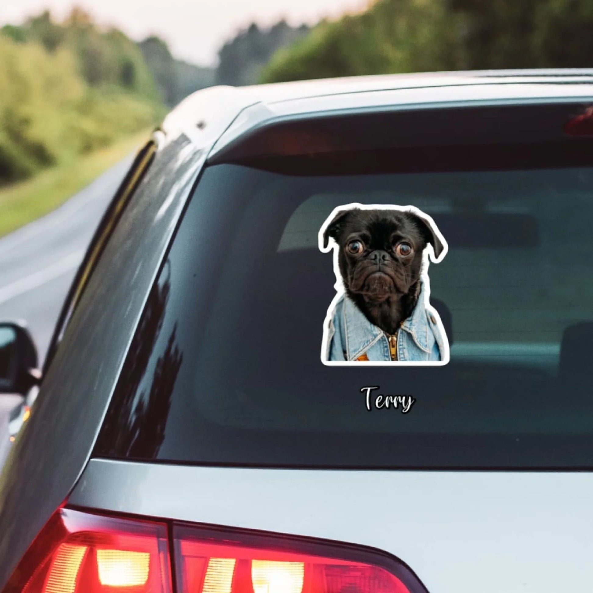 WhatsApp Image 2025-09-17 at 2.57.46 PM (1)