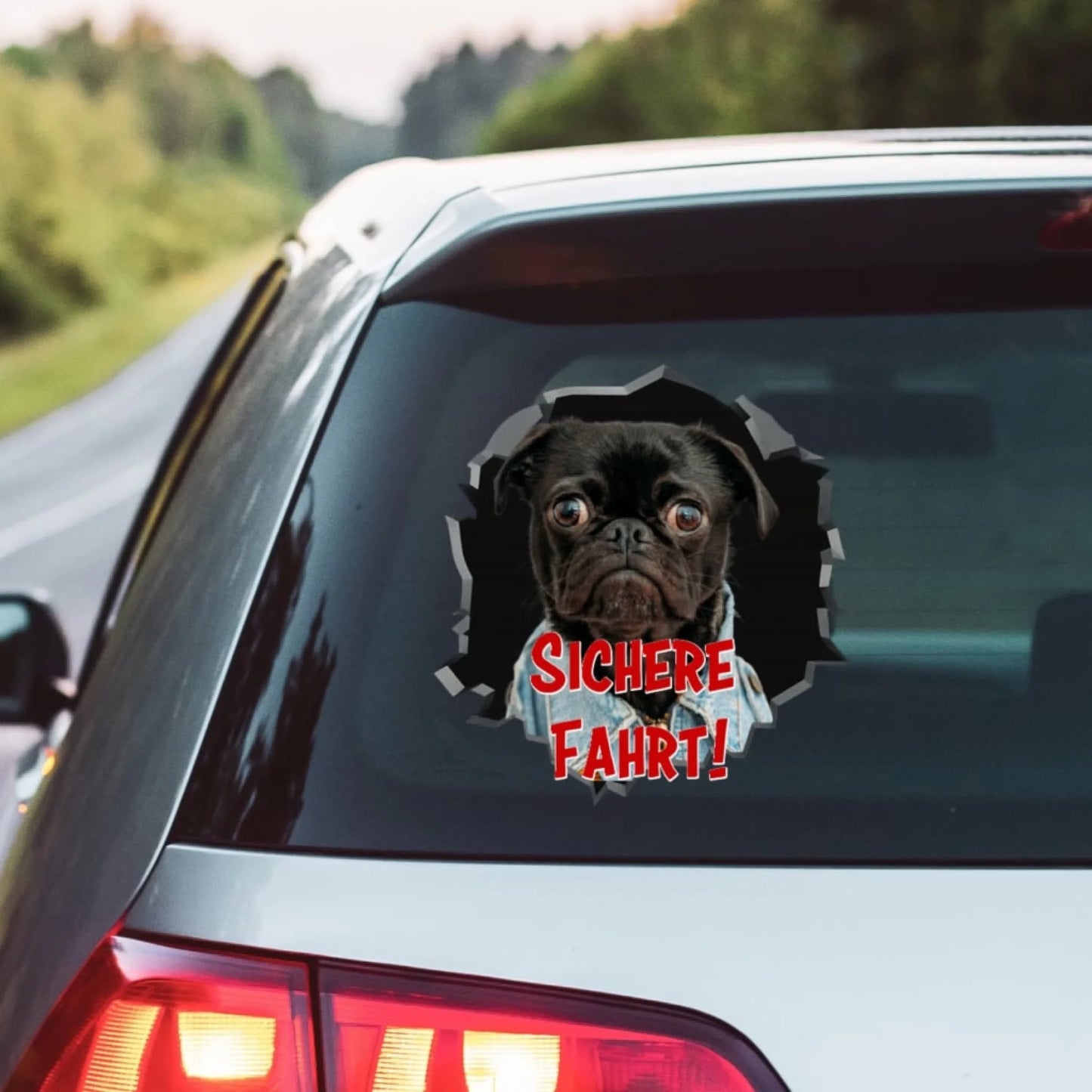 WhatsApp Image 2025-09-16 at 9.47.53 PM